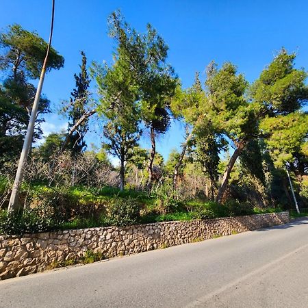 Cozy Apartment For 4 In Kolonaki, Lycabettus Athens Luaran gambar