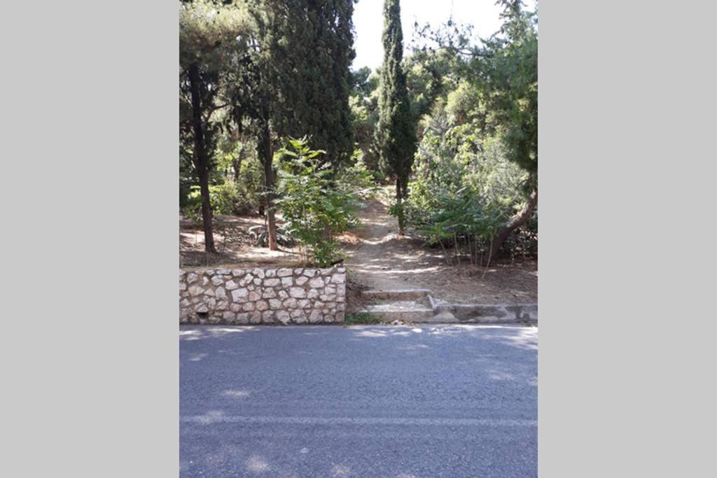 Cozy Apartment For 4 In Kolonaki, Lycabettus Athens Luaran gambar